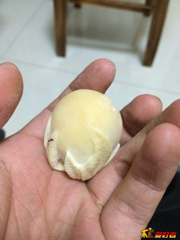 IMG_3636.JPG