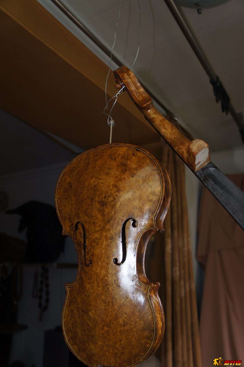 DSC02598.jpg