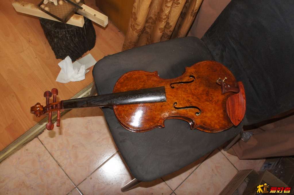 DSC02730.jpg
