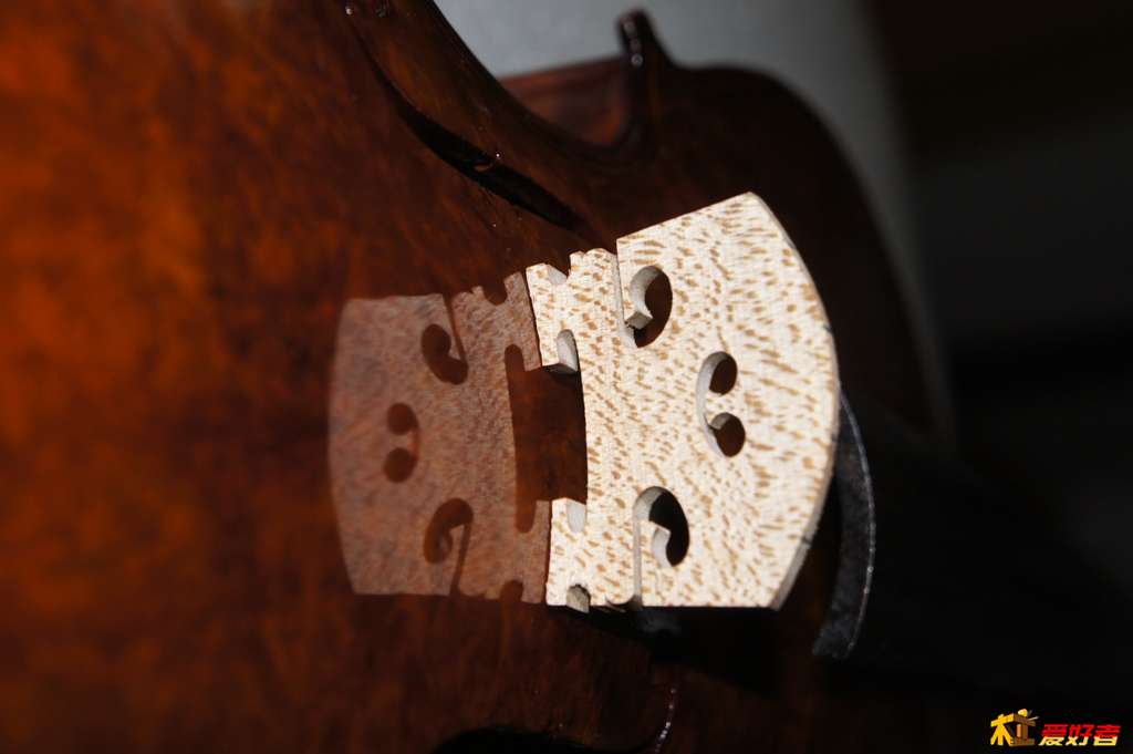 DSC02764.jpg
