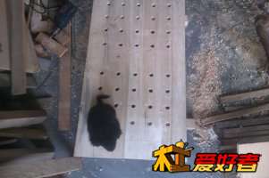 小样，该下来了，这是给我儿子做的，不是你的！