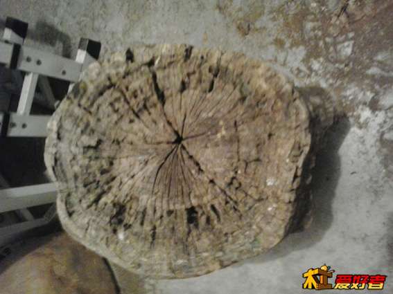 20141104_120300.jpg