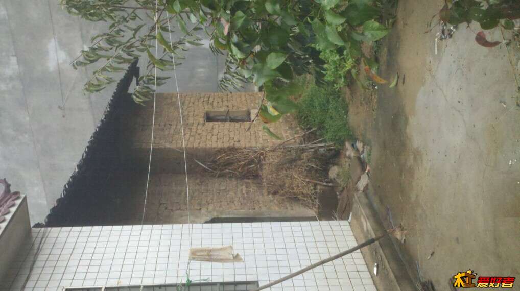 侧面看2.jpg