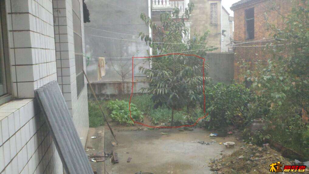 侧面看.jpg