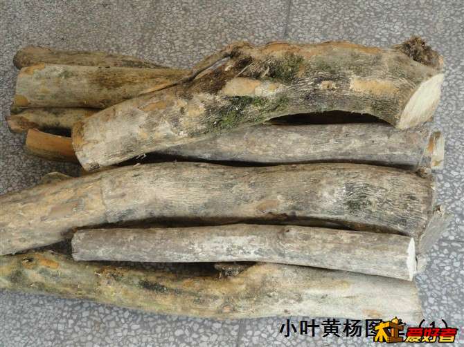 232451jmmr28m483rr4t0m.jpg