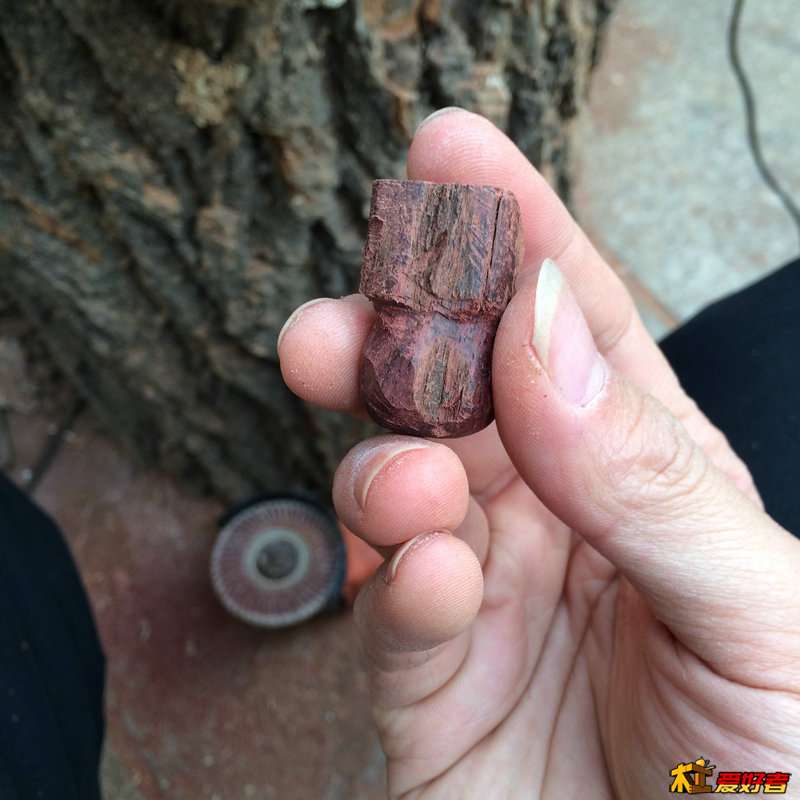 用牙机扣袋子口和绑绳
