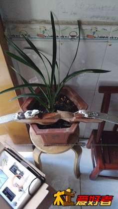 IMG_20141215_130237.jpg