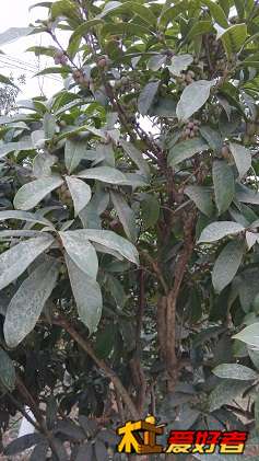 IMG_20141223_095913.jpg