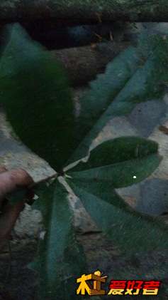 IMG_20150105_172912.jpg