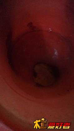IMG_20150105_174030.jpg