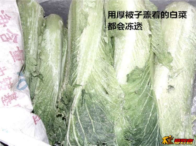 0534_副本.jpg