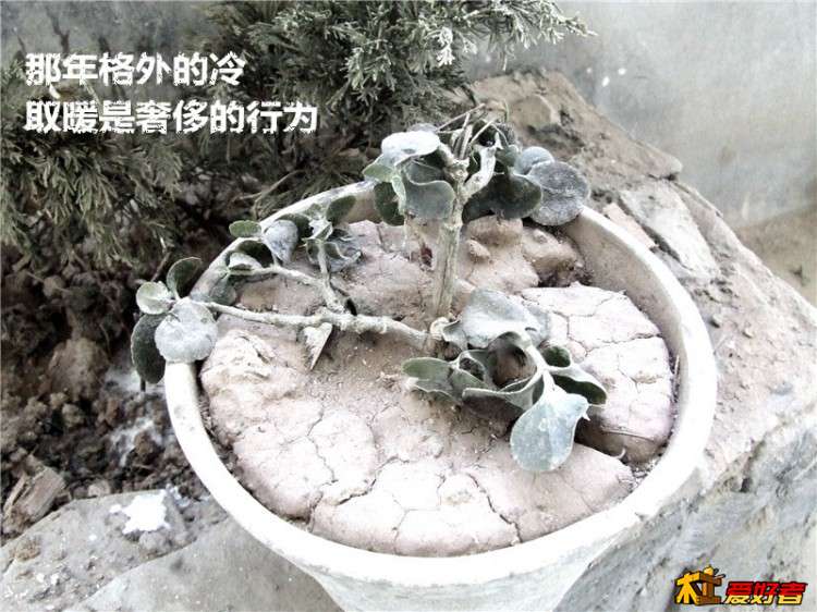 0533_副本.jpg