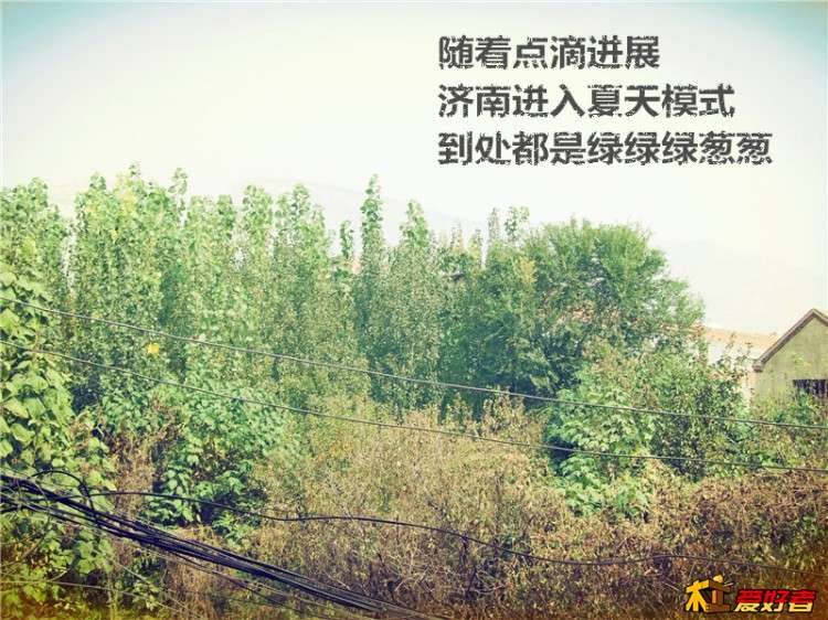 0557_副本.jpg