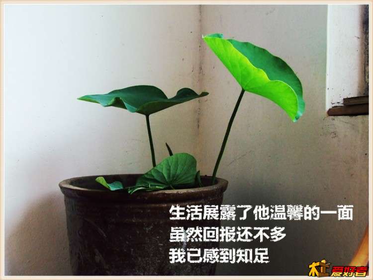 0680_副本.jpg