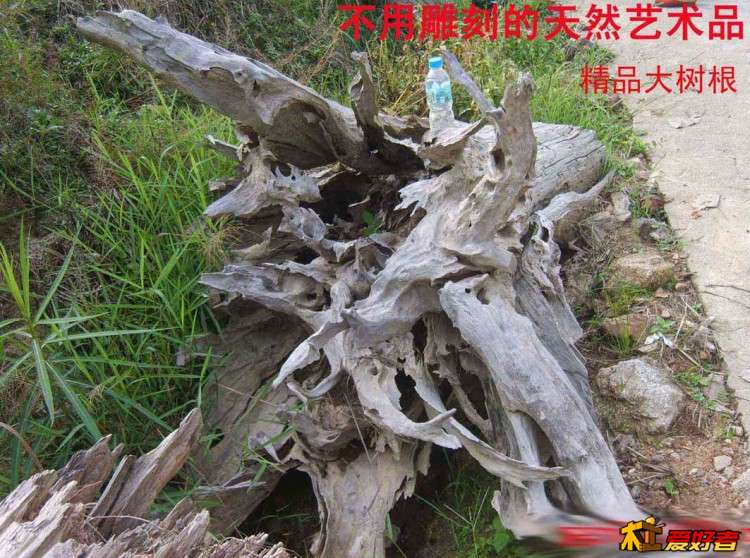 精品大树根雕-01（硬木）.jpg