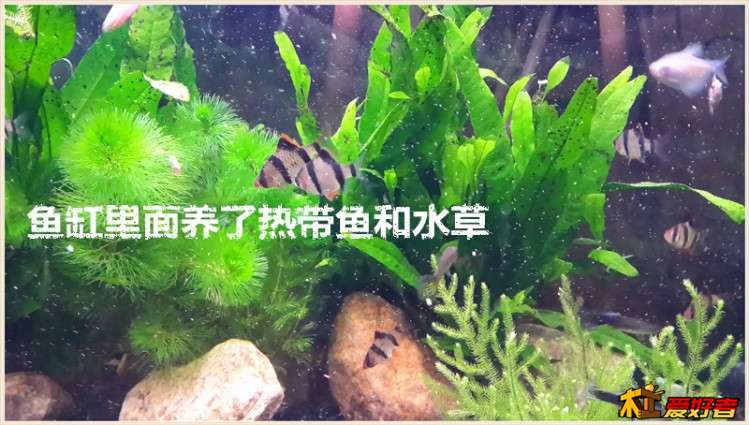 0936_副本.jpg