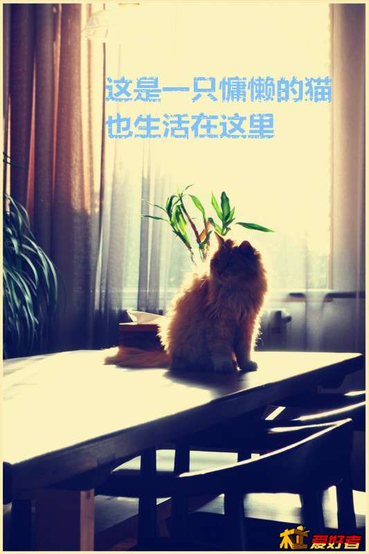 0946_副本.jpg