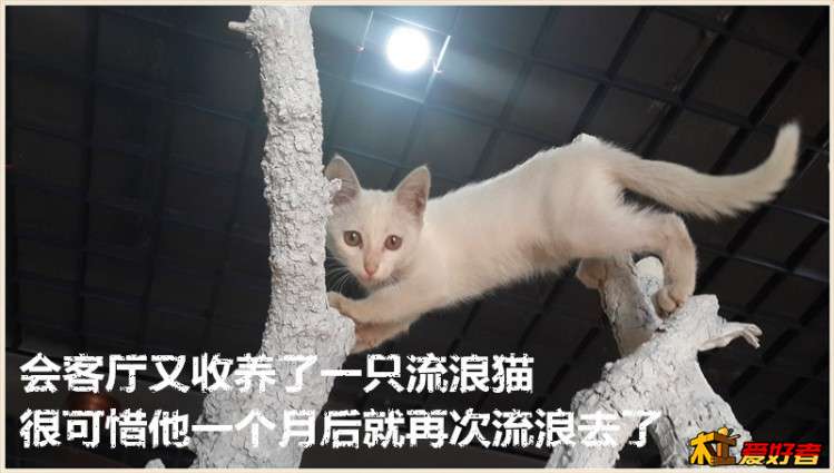 0957_副本.jpg