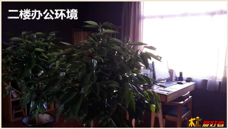 0960_副本.jpg