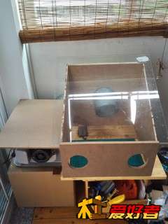 IMG_20150327_102331.jpg