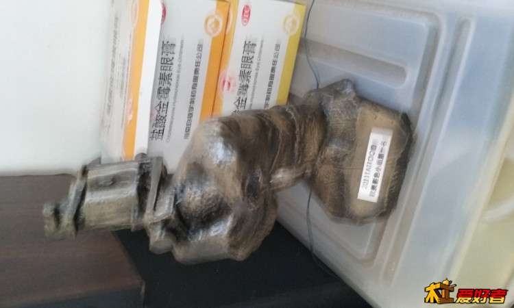 20150612_104423.jpg