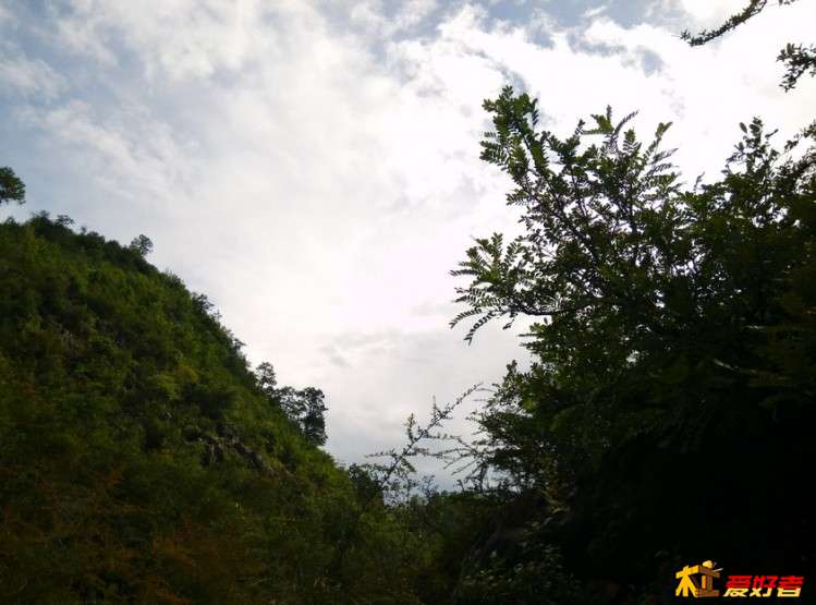 IMG_20150801_161821_调整大小.jpg