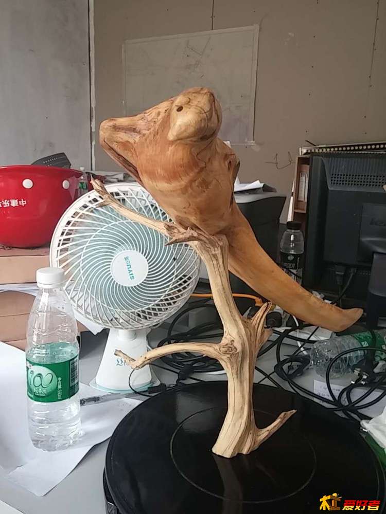 拿回来1