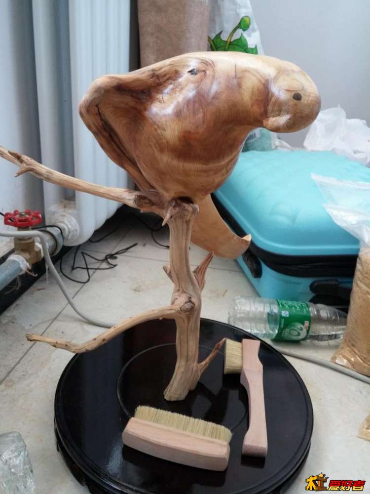 玩了几天