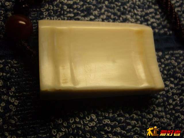 SNC15271 (复制).JPG
