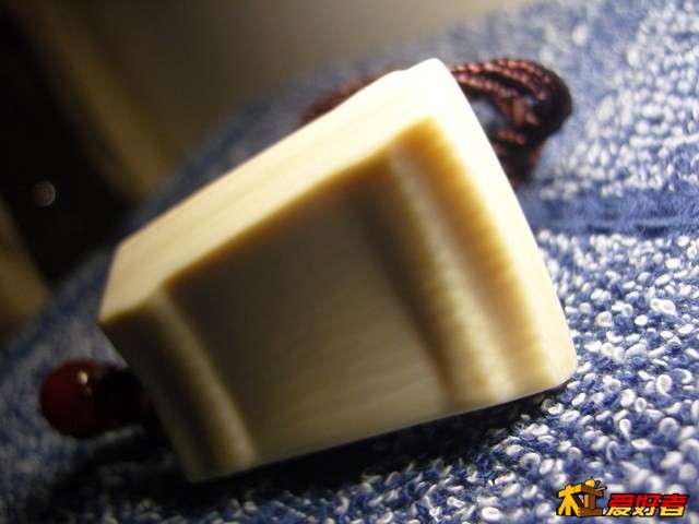 SNC15281 (复制).JPG