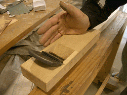 d0704p1.gif