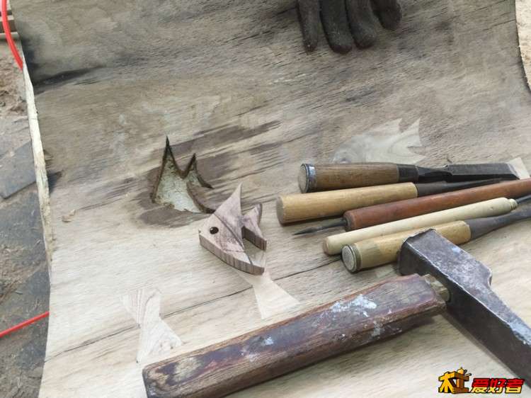 9b.jpg