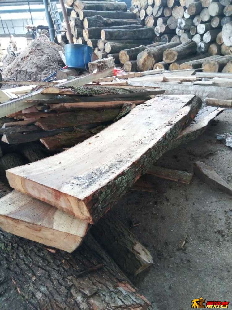 809081445204339299.jpg