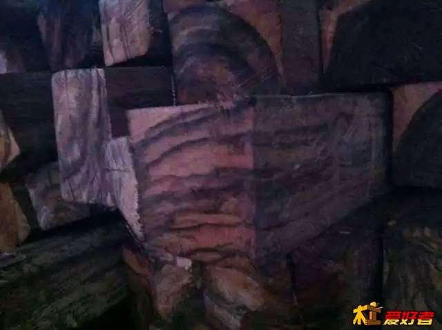 yidian_11632611016.jpg