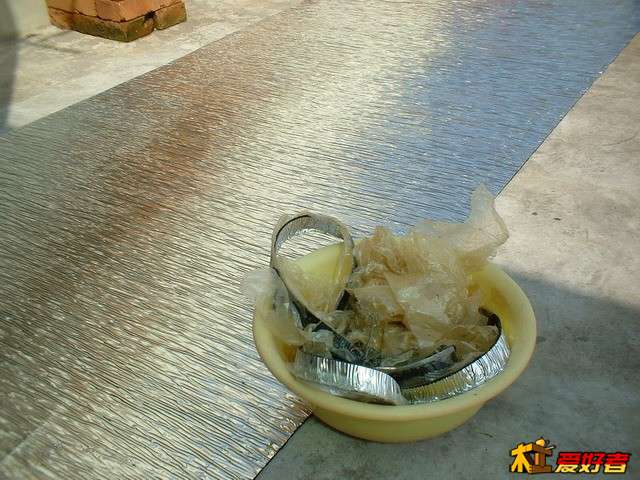 007再砌花坛.JPG
