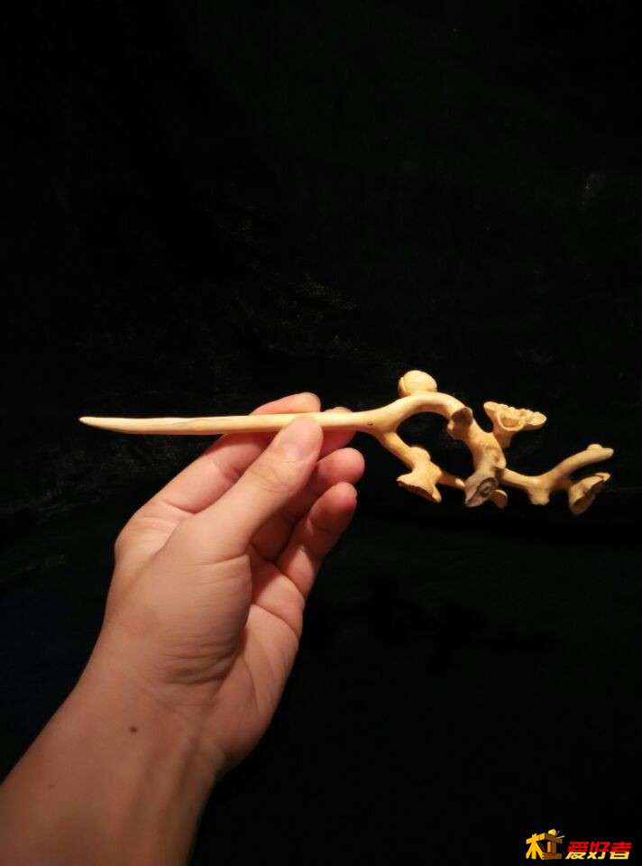 31.jpg