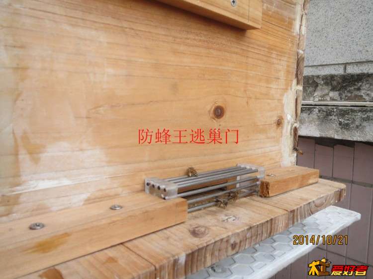 新脾7 拷贝.jpg