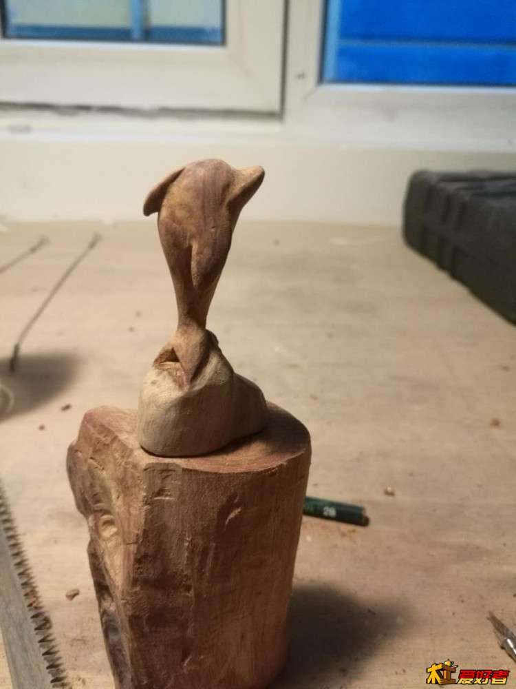 背鳍比例不合适