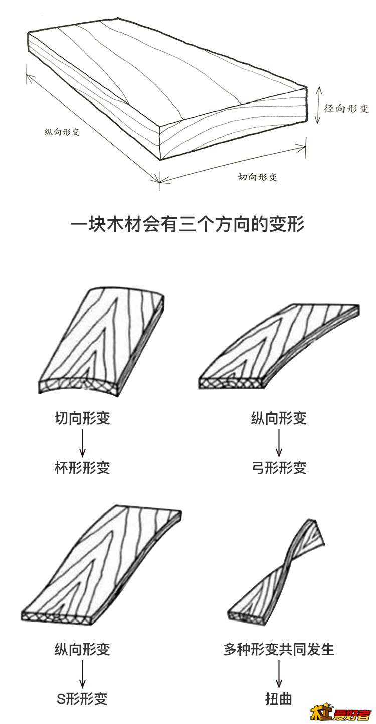 2 木材变形.jpg