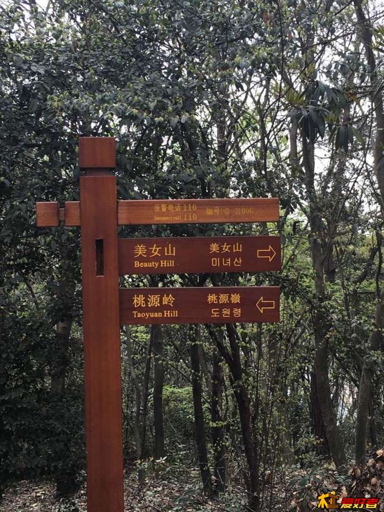 331.jpg