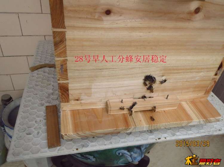 蜂箱12.jpg