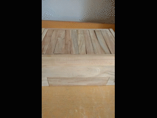 VID_20170307_133959_3.gif