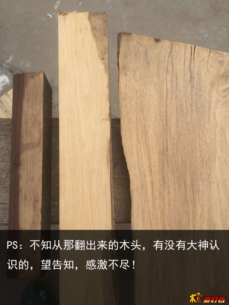 127.jpg