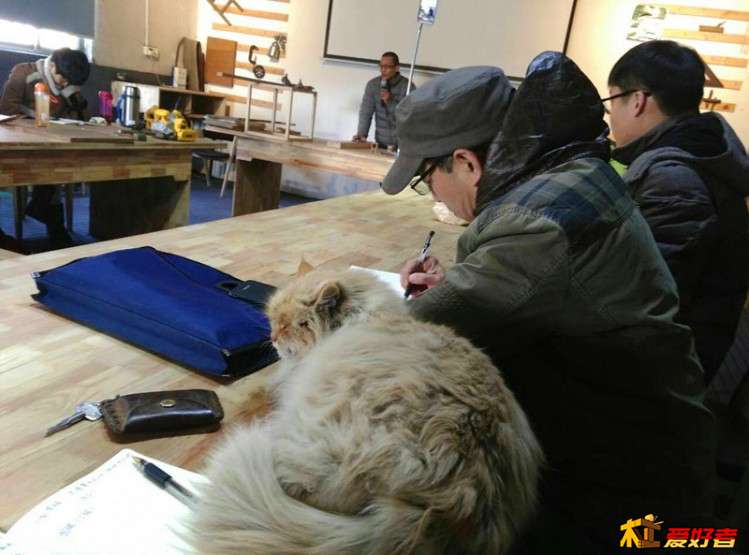 mmexport1488783921885_副本.jpg