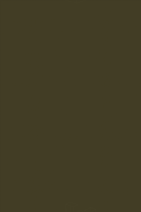 kangzhuo1.gif