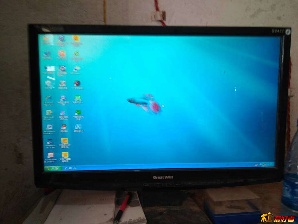 125611qwcnw3cxeezx3dan.jpg