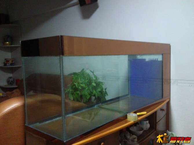 鱼缸.jpg