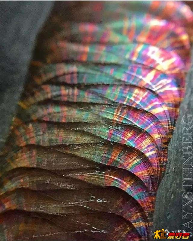 焊接界精彩作品 (25).jpg