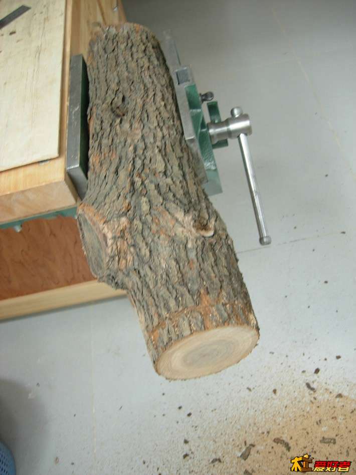 DSCN0103.jpg