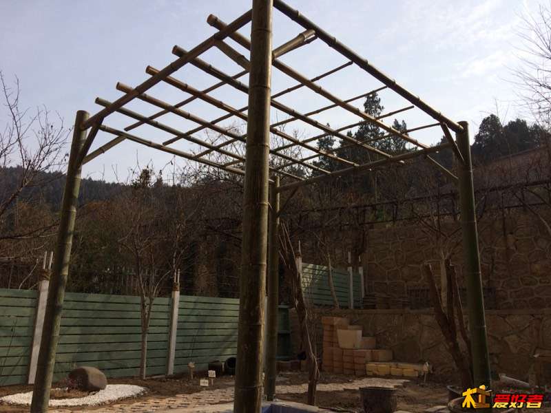 072940rltl32pll3d333li.jpg